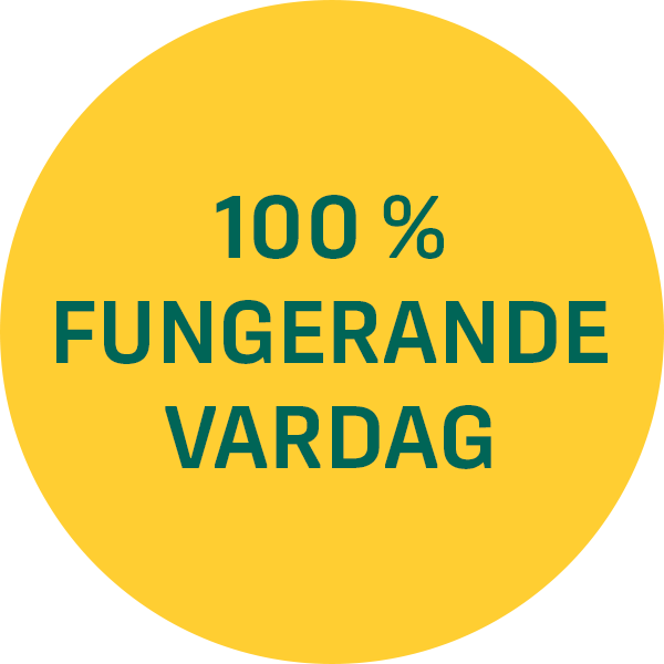 100 % fungerande vardag