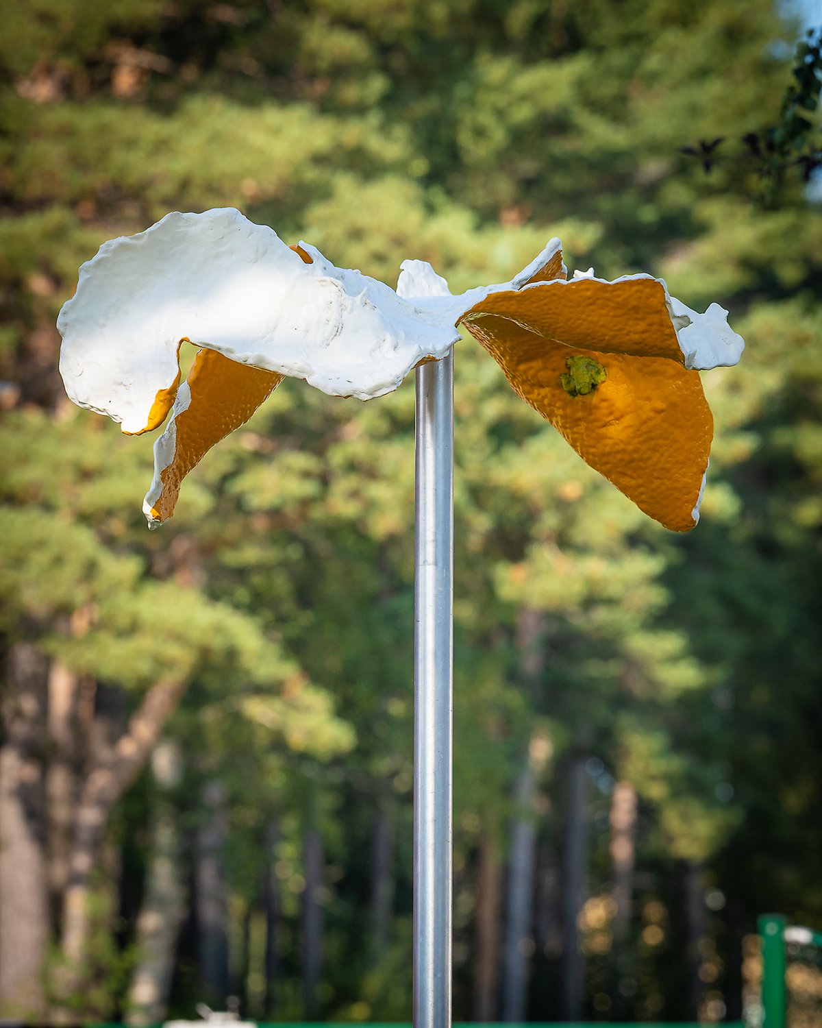 Närbild av övre delen av Solägget som sprack